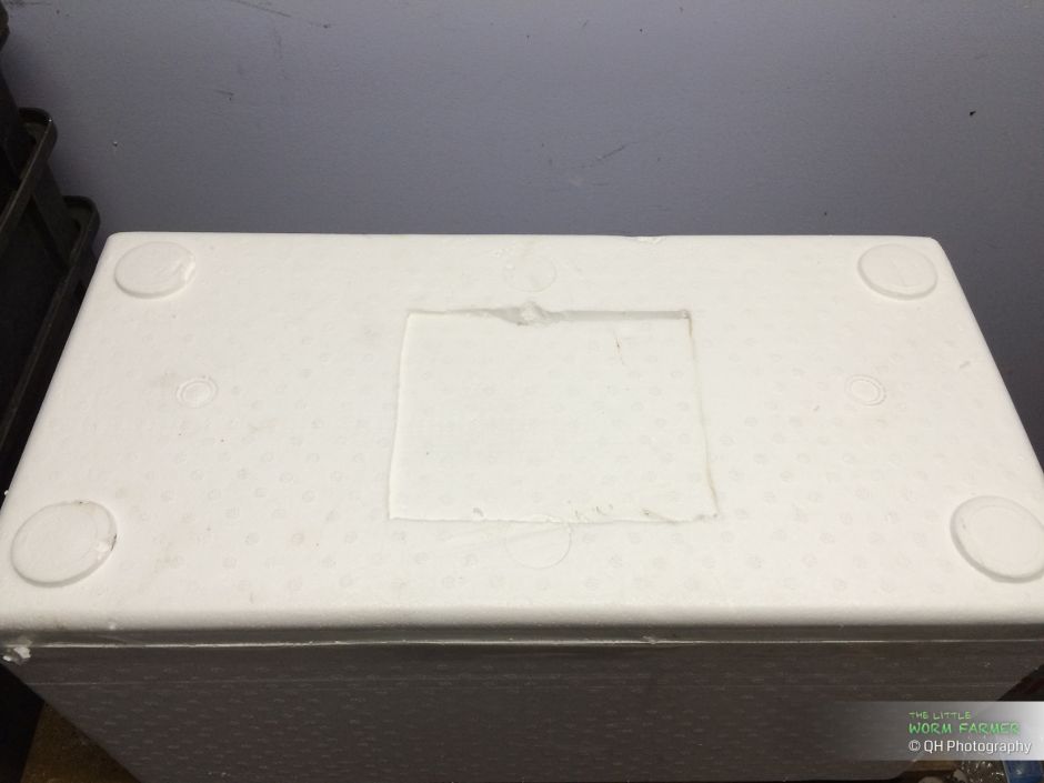 Cutting ventilation holes in a styrofoam worm bin