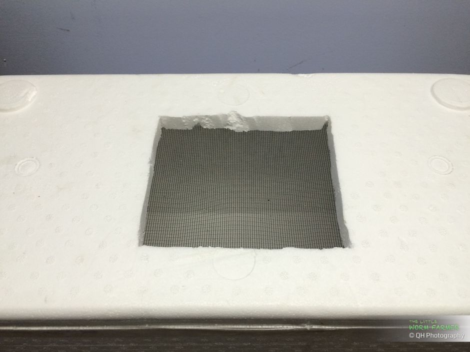 Styrofoam worm bin ventilation holes