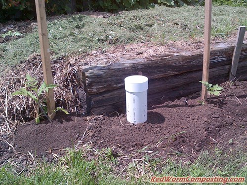 The Worm Tower, a garden worm bin that is partially underground