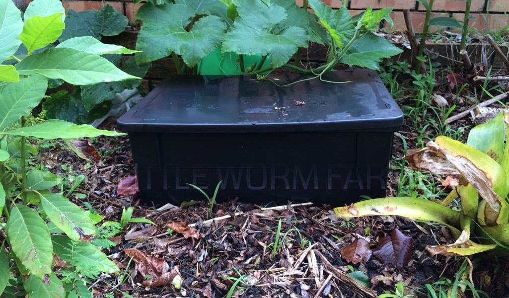 The Big Rotter, a garden worm bin that sits on top of the ground